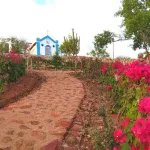 nordeste2